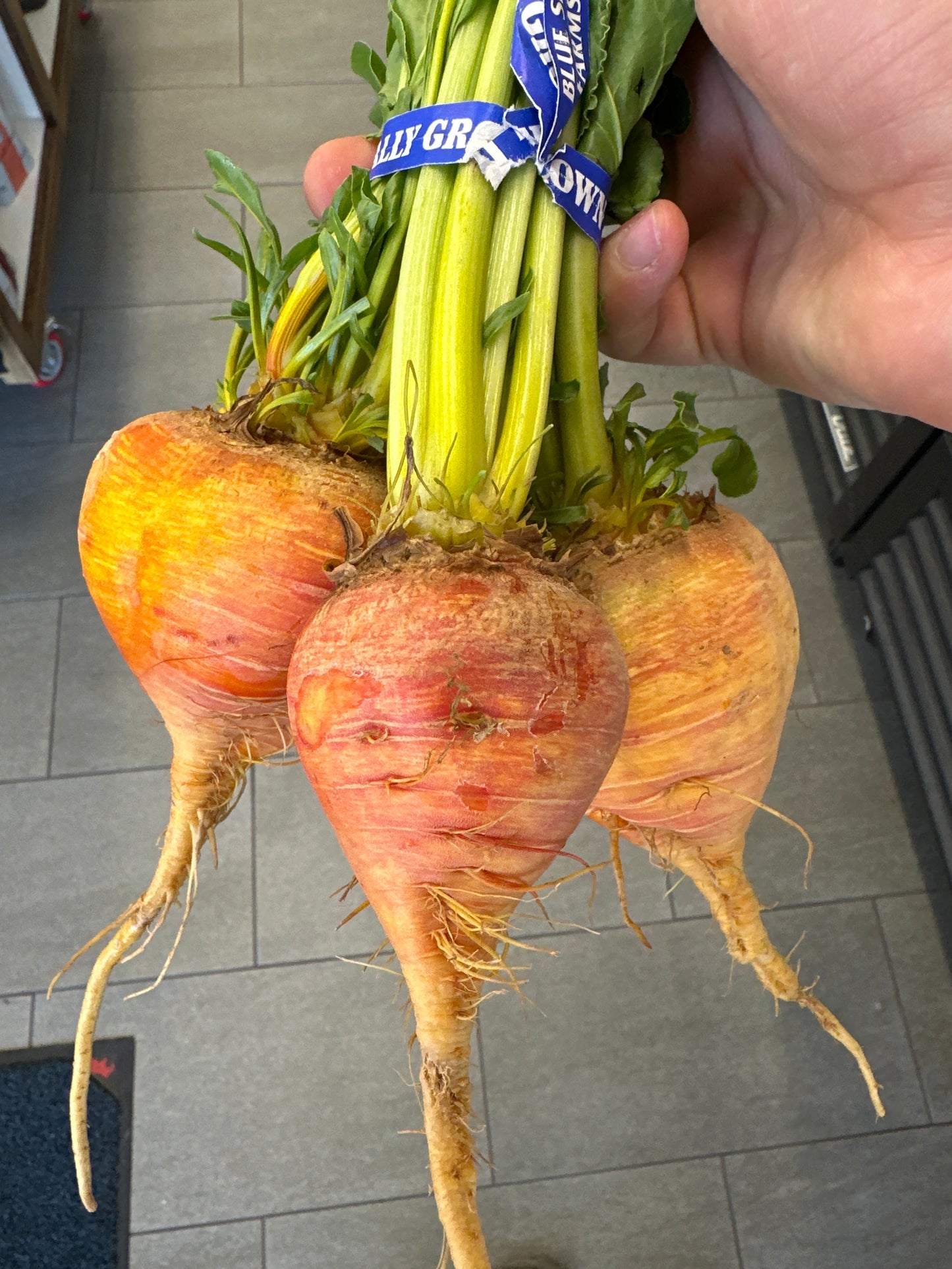 Organic Gold Beets
