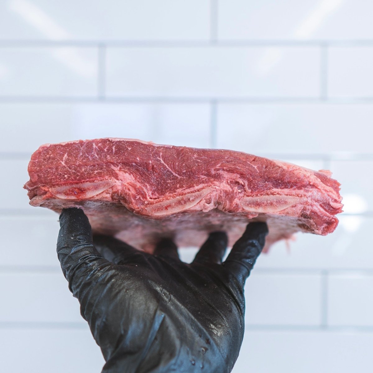 Dino Rib - Capital Farms Meats & Provisions