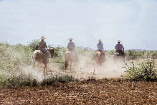 The Impact of Meat Farms: Understanding Sustainable Practices - Capital Farms Meats & Provisions