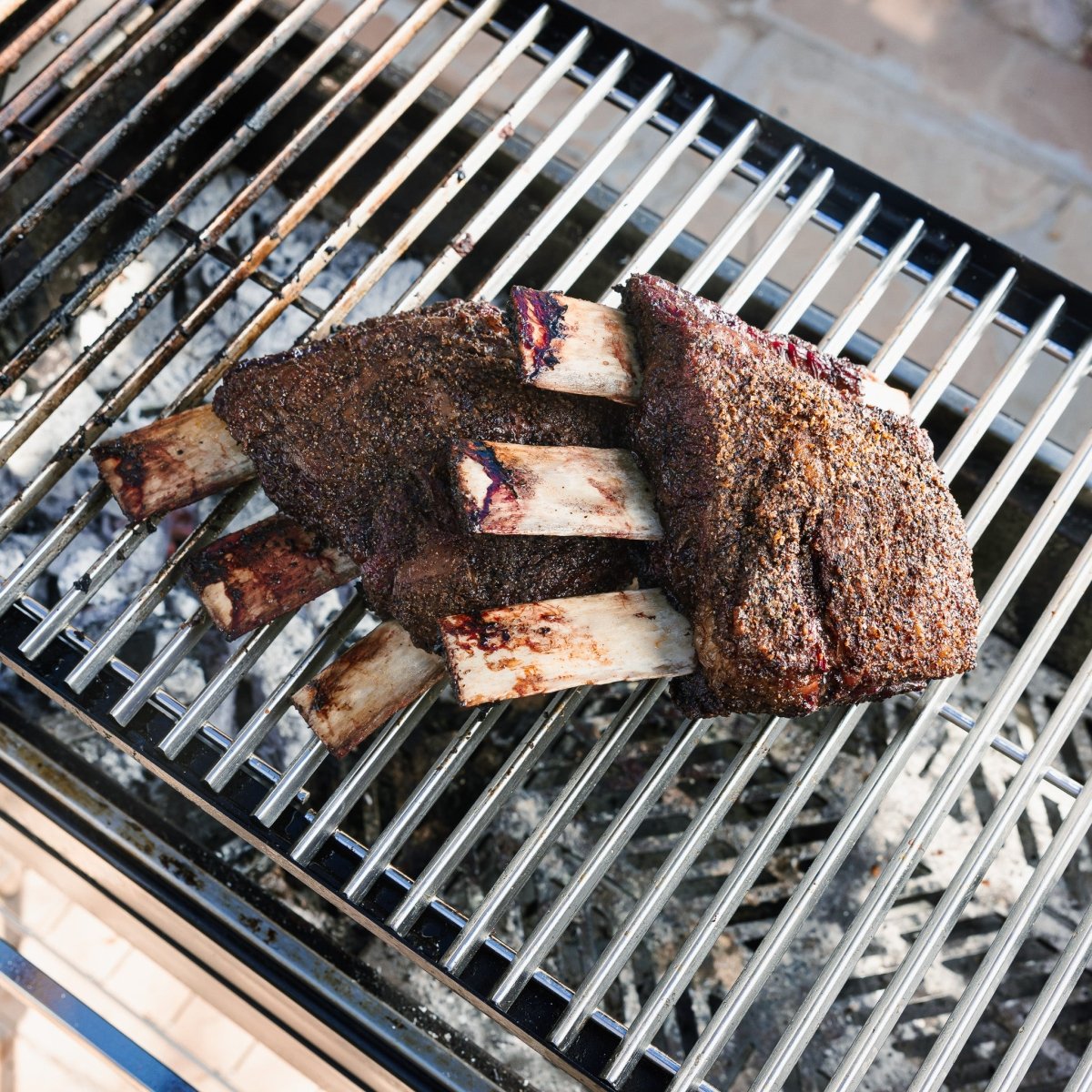 Dino Ribs | Beef Plate Ribs - Capital Farms Meats & Provisions