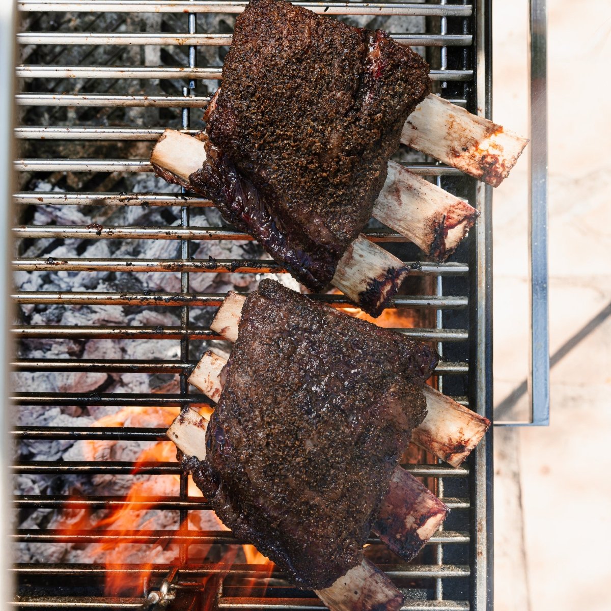 Dino Rib | Beef Rib – Capital Farms Meats & Provisions