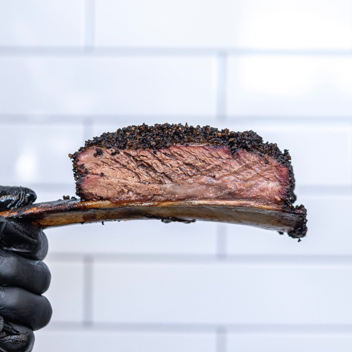 Dino Rib | Beef Rib – Capital Farms Meats & Provisions
