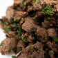 Steak Tips - Capital Farms Meats & Provisions